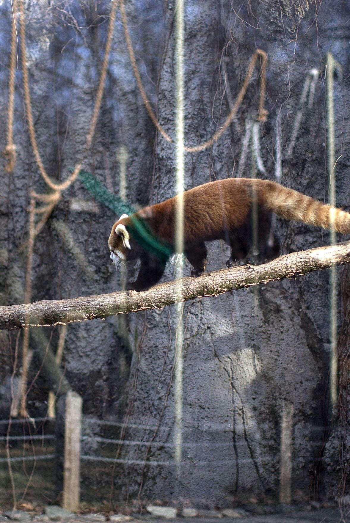 20170113g_nws_ScienceCenter
